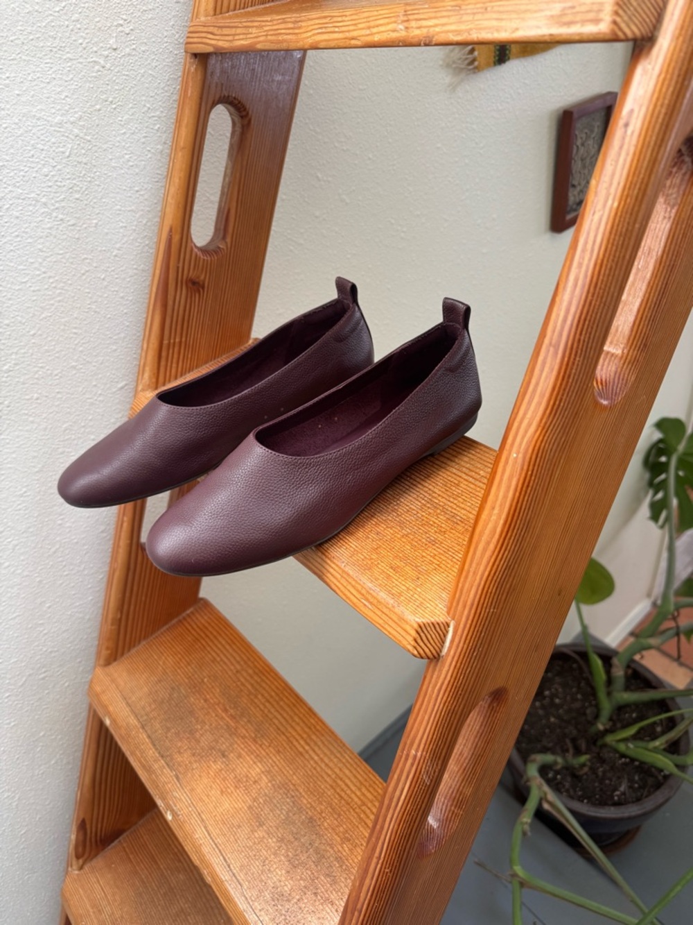 Everlane Women’s Dark Brown Leather Ballet Flats